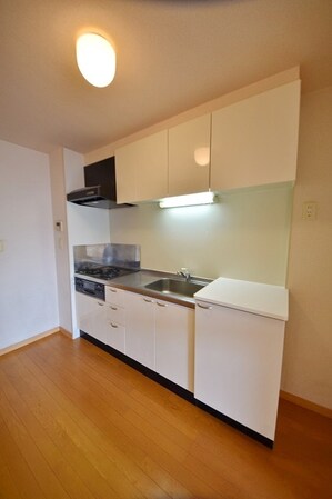 レオパレスコヅチIIの物件内観写真